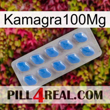 Kamagra100Mg 22